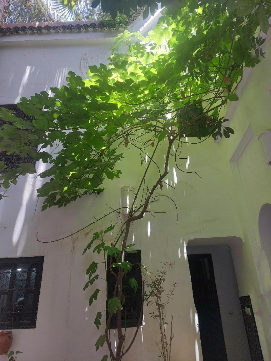Riad Dar Lalla Fatna Marrakesh Exterior photo